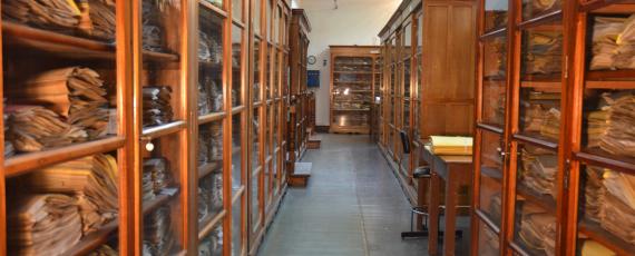 Los pasillos del herbario del Museo